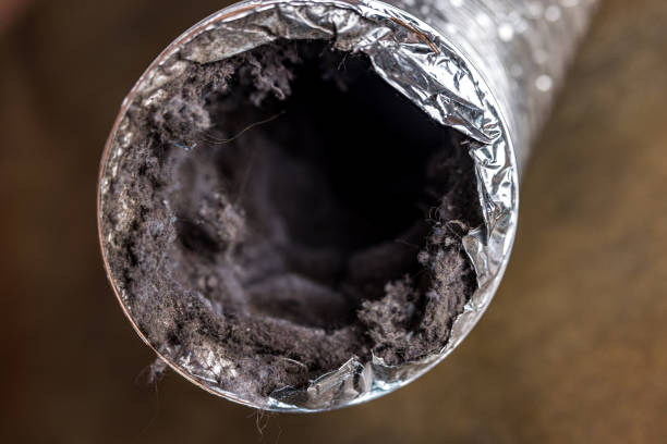 Best Residential Air Duct Cleaning  in Stayton, OR
